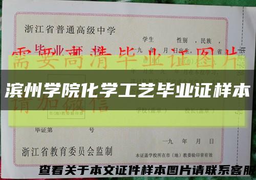 滨州学院化学工艺毕业证样本缩略图