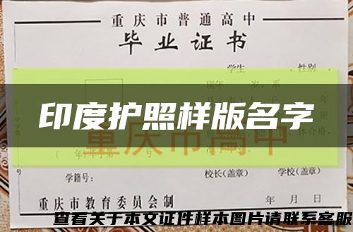 印度护照样版名字缩略图