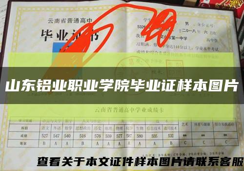 山东铝业职业学院毕业证样本图片缩略图
