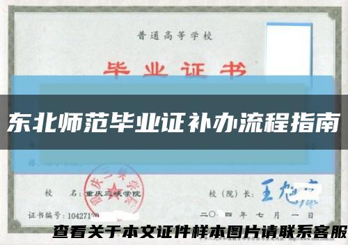东北师范毕业证补办流程指南缩略图