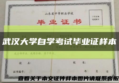 武汉大学自学考试毕业证样本缩略图
