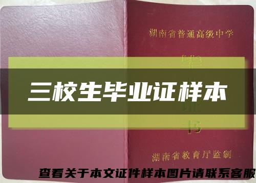三校生毕业证样本缩略图
