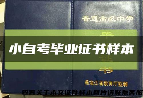 小自考毕业证书样本缩略图