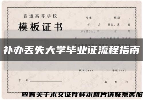 补办丢失大学毕业证流程指南缩略图