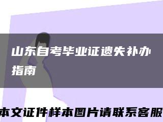 山东自考毕业证遗失补办指南缩略图
