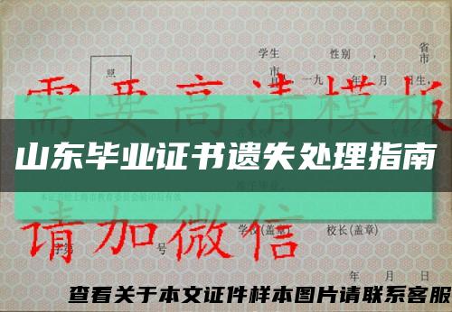 山东毕业证书遗失处理指南缩略图
