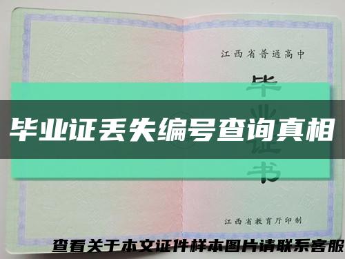 毕业证丢失编号查询真相缩略图