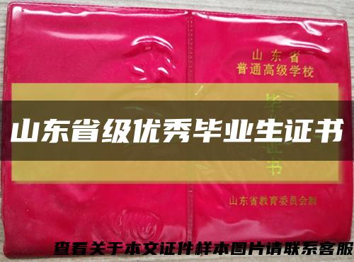 山东省级优秀毕业生证书缩略图
