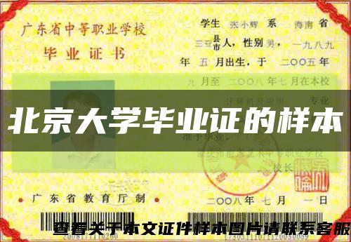 北京大学毕业证的样本缩略图