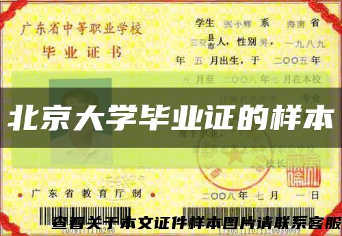 北京大学毕业证的样本缩略图