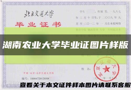 湖南农业大学毕业证图片样版缩略图