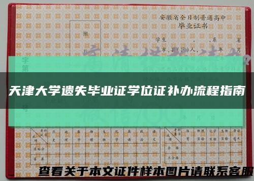 天津大学遗失毕业证学位证补办流程指南缩略图