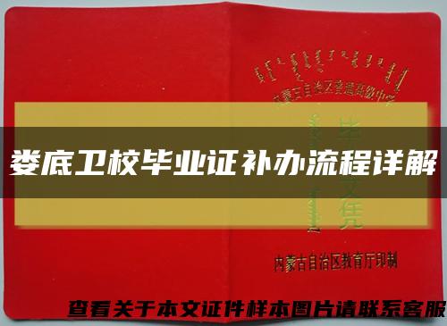 娄底卫校毕业证补办流程详解缩略图