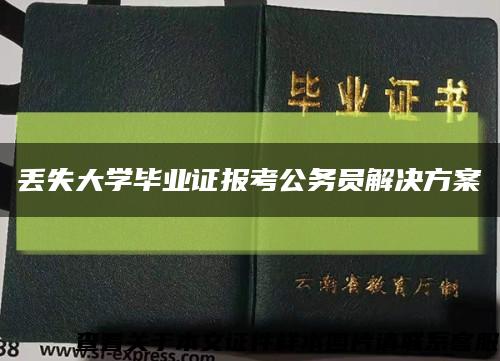 丢失大学毕业证报考公务员解决方案缩略图