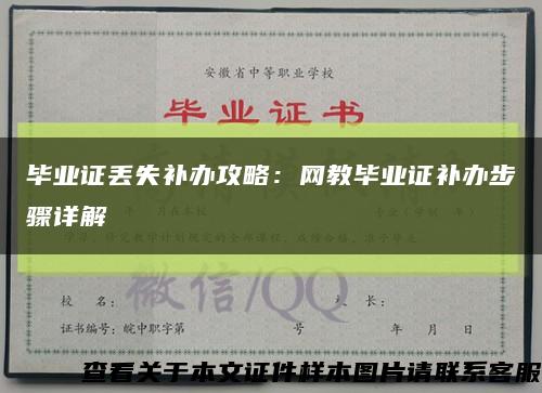 毕业证丢失补办攻略：网教毕业证补办步骤详解缩略图