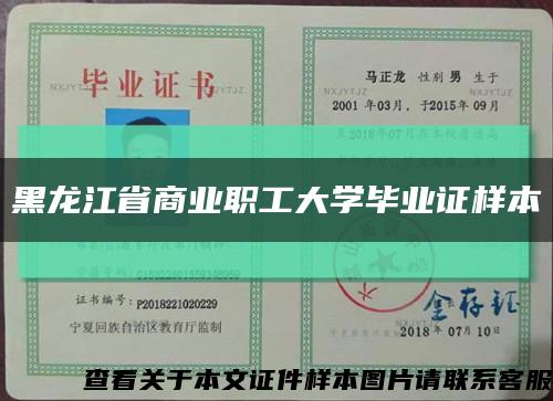 黑龙江省商业职工大学毕业证样本缩略图