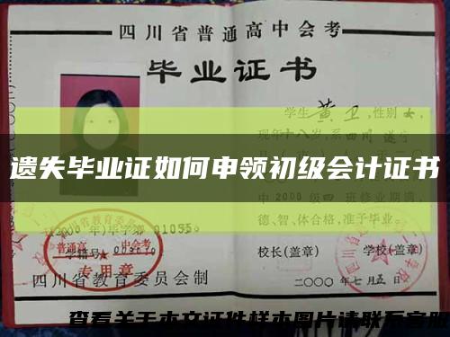 遗失毕业证如何申领初级会计证书缩略图