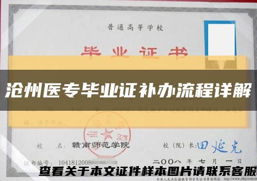 沧州医专毕业证补办流程详解缩略图