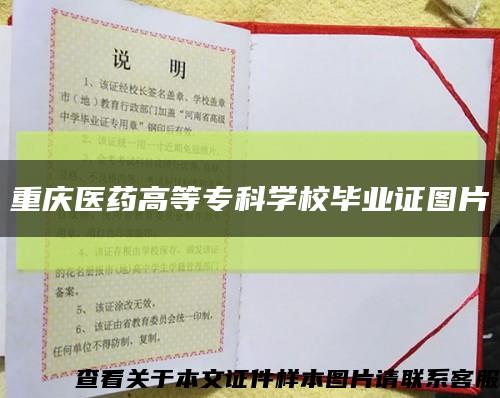重庆医药高等专科学校毕业证图片缩略图