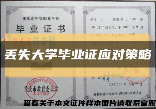 丢失大学毕业证应对策略缩略图