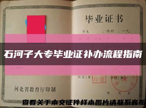 石河子大专毕业证补办流程指南缩略图