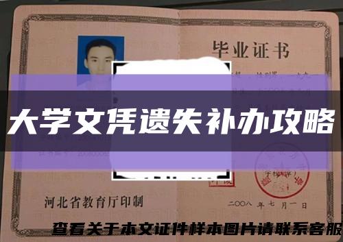 大学文凭遗失补办攻略缩略图