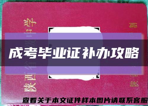 成考毕业证补办攻略缩略图