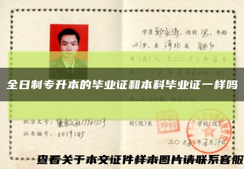 全日制专升本的毕业证和本科毕业证一样吗缩略图