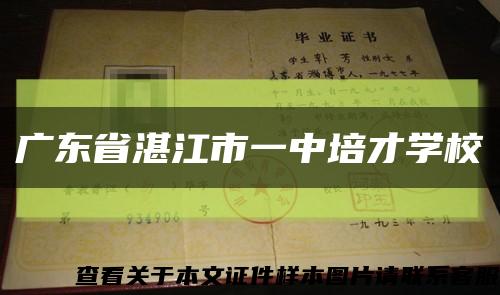 广东省湛江市一中培才学校缩略图