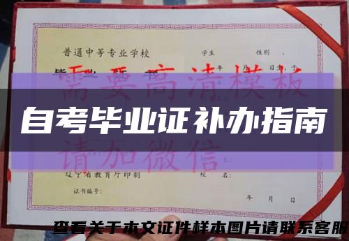 自考毕业证补办指南缩略图