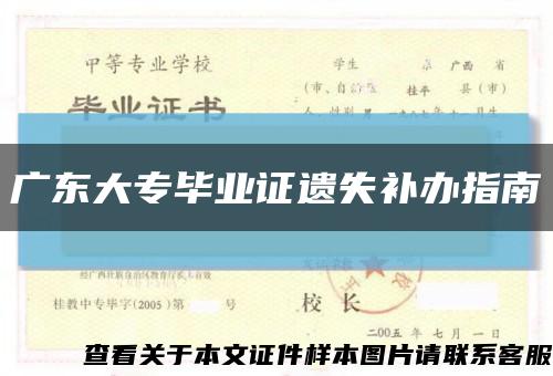 广东大专毕业证遗失补办指南缩略图