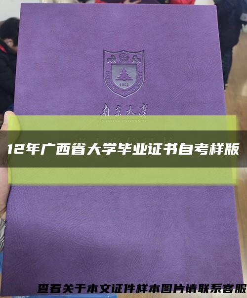 12年广西省大学毕业证书自考样版缩略图