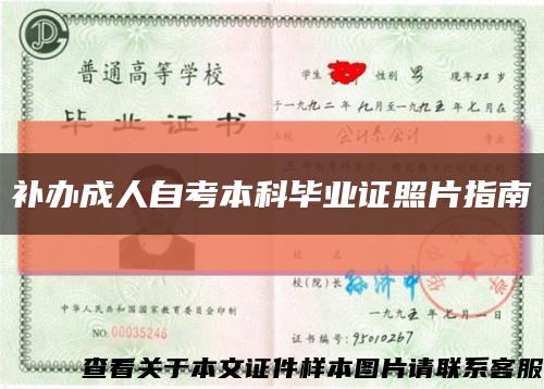 补办成人自考本科毕业证照片指南缩略图