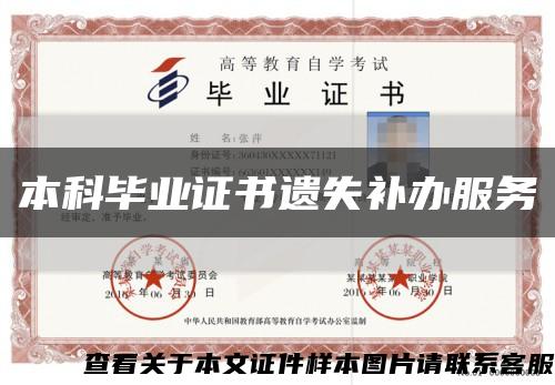 本科毕业证书遗失补办服务缩略图