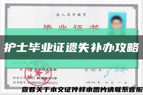 护士毕业证遗失补办攻略缩略图