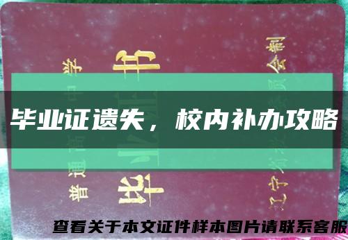 毕业证遗失，校内补办攻略缩略图