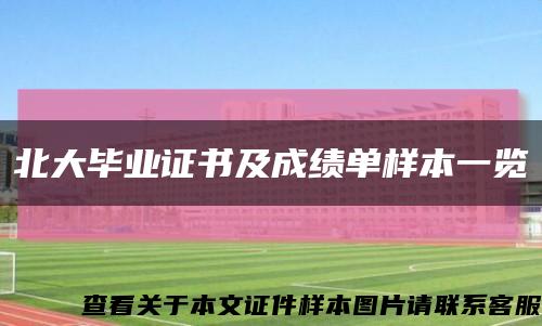北大毕业证书及成绩单样本一览缩略图