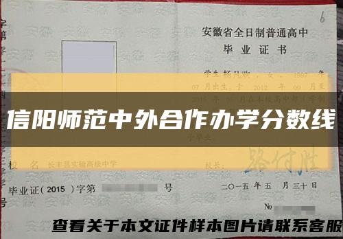 信阳师范中外合作办学分数线缩略图