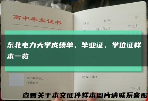 东北电力大学成绩单、毕业证、学位证样本一览缩略图