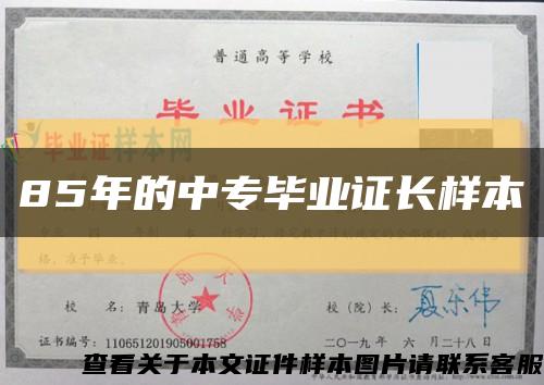 85年的中专毕业证长样本缩略图