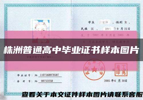 株洲普通高中毕业证书样本图片缩略图