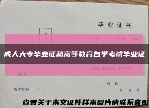 成人大专毕业证和高等教育自学考试毕业证缩略图