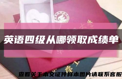 英语四级从哪领取成绩单缩略图