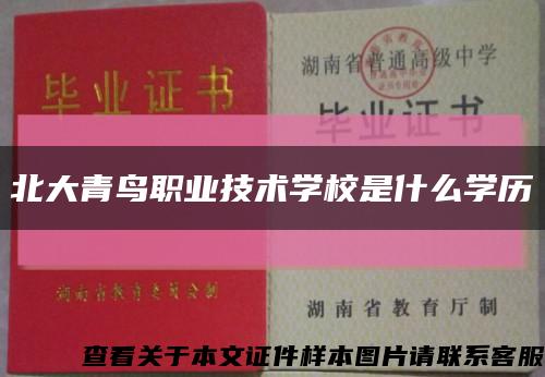 北大青鸟职业技术学校是什么学历缩略图