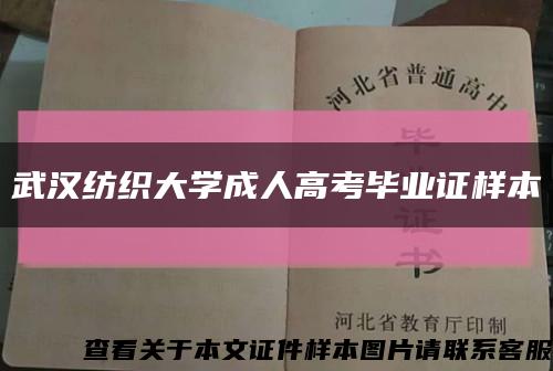 武汉纺织大学成人高考毕业证样本缩略图