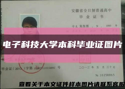 电子科技大学本科毕业证图片缩略图