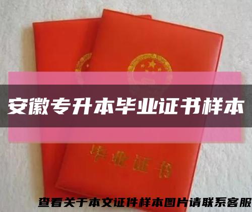安徽专升本毕业证书样本缩略图