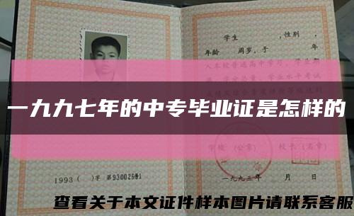 一九九七年的中专毕业证是怎样的缩略图