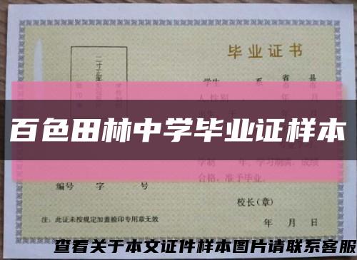 百色田林中学毕业证样本缩略图
