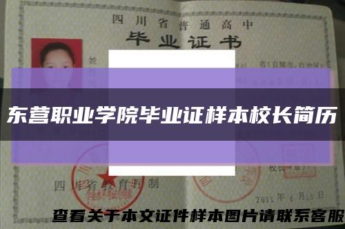 东营职业学院毕业证样本校长简历缩略图